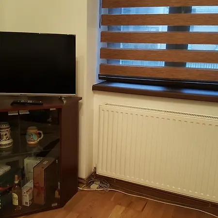 Veronica Apartament Διαμέρισμα Τιμισοάρα